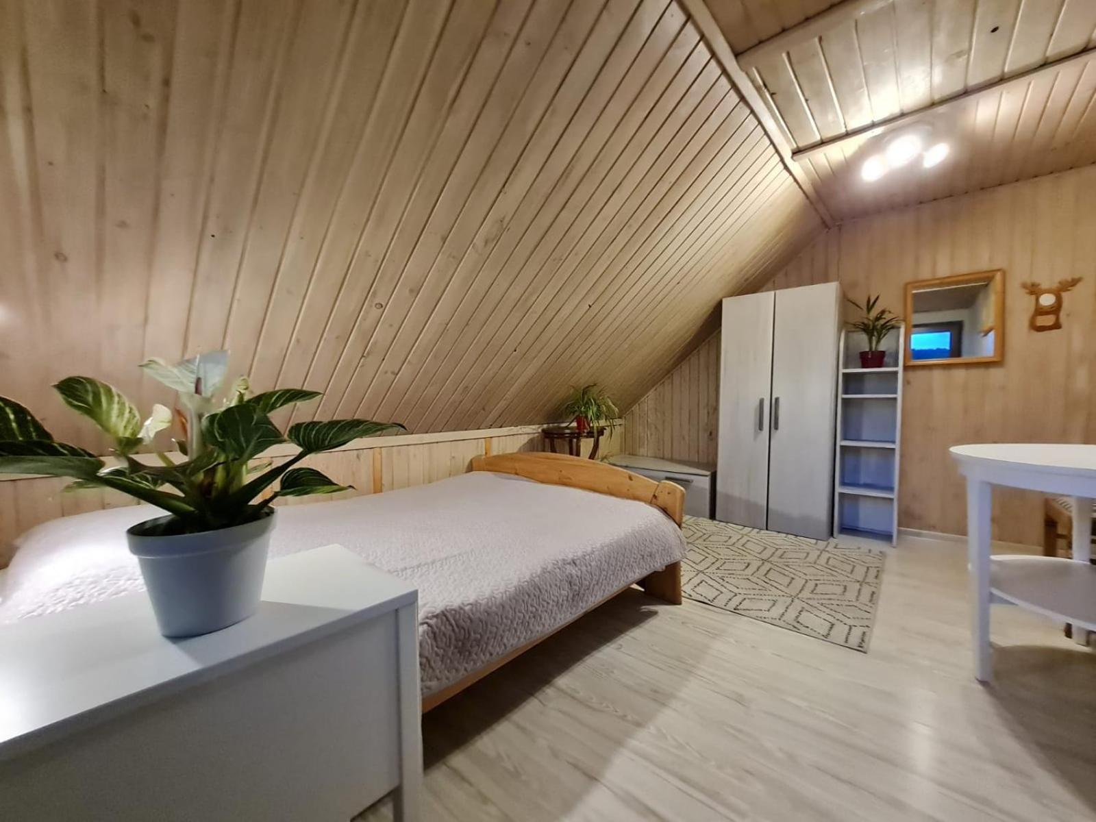 Koliba Nad Bialka Czarna Gora Bed & Breakfast ภายนอก รูปภาพ