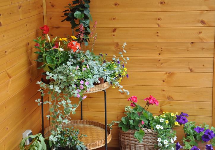 Koliba Nad Bialka Czarna Gora Bed & Breakfast ภายนอก รูปภาพ